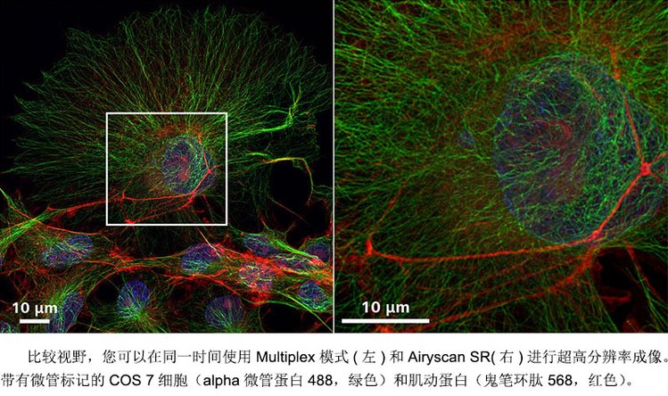 青海共聚焦显微镜