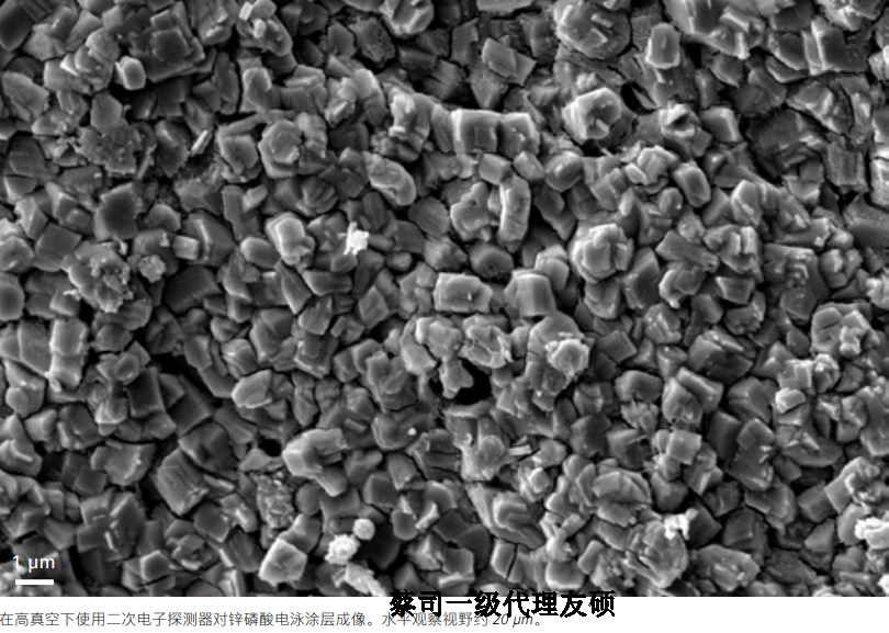 青海蔡司青海扫描电镜