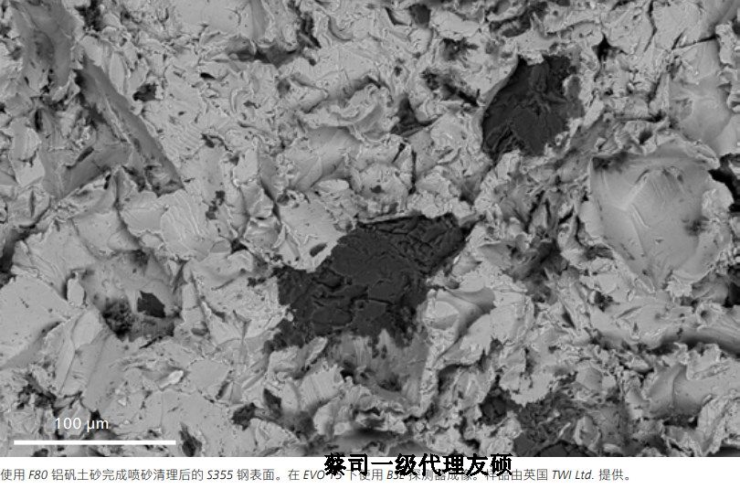 青海蔡司青海扫描电镜EVO