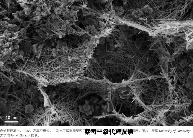 青海蔡司青海扫描电镜