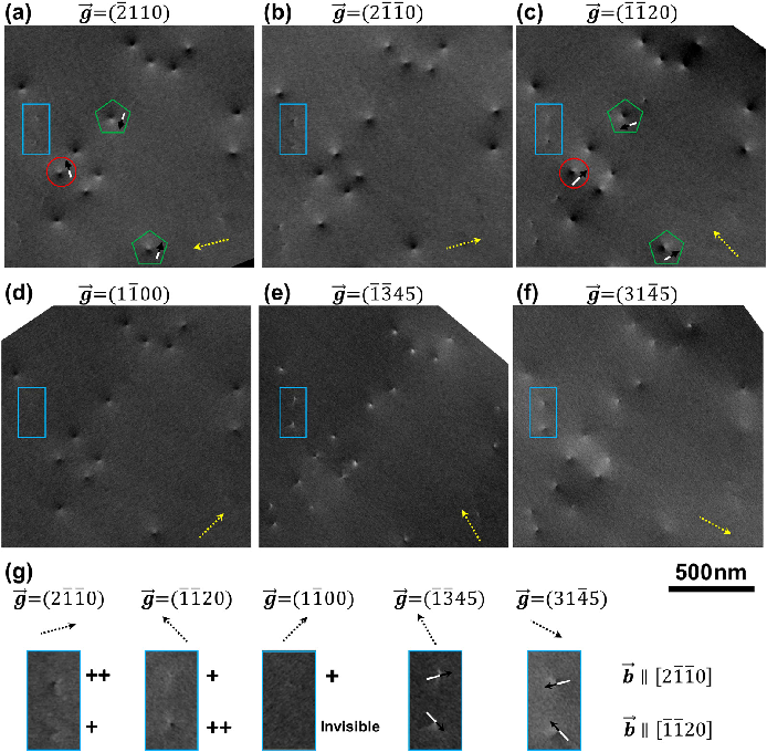 场发射青海扫描电镜