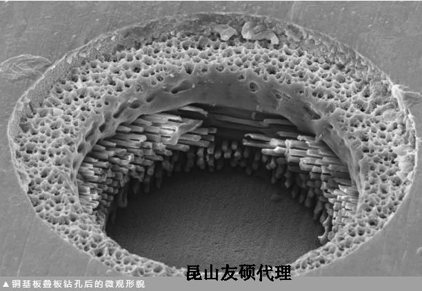 青海蔡司青海扫描电镜